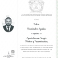Ampliar imagen: certificate 2