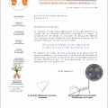 Ampliar imagen: certificate 2