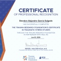 Ampliar imagen: certificate 3
