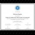 Ampliar imagen: certificate 10