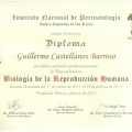 Ampliar imagen: certificate 5