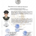 Ampliar imagen: certificate 7