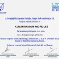 Ampliar imagen: certificate 6