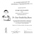 Ampliar imagen: certificate 1