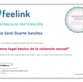Ampliar imagen: certificate 3