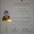 Ampliar imagen: certificate 3