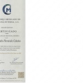 Ampliar imagen: certificate 1