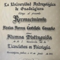 Ampliar imagen: certificate 5