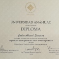 Ampliar imagen: certificate 4