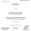 Ampliar imagen: certificate 4