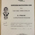 Ampliar imagen: certificate 13