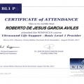 Ampliar imagen: certificate 17