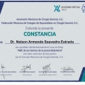 Ampliar imagen: certificate 15