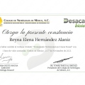Ampliar imagen: certificate 3