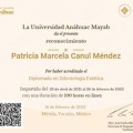 Ampliar imagen: certificate 4