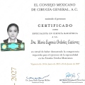 Ampliar imagen: certificate 11