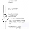 Ampliar imagen: certificate 6