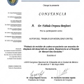 Ampliar imagen: certificate 8