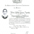 Ampliar imagen: certificate 3