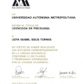 Ampliar imagen: certificate 6