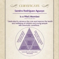 Ampliar imagen: certificate 5