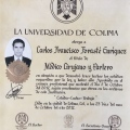 Ampliar imagen: certificate 6