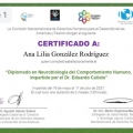 Ampliar imagen: certificate 6