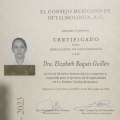 Ampliar imagen: certificate 2