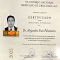 Ampliar imagen: certificate 1