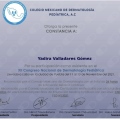Ampliar imagen: certificate 6