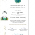 Ampliar imagen: certificate 7
