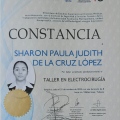 Ampliar imagen: certificate 14
