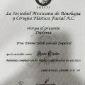 Ampliar imagen: certificate 8