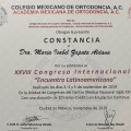 Ampliar imagen: certificate 8
