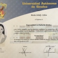 Ampliar imagen: certificate 3