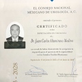 Ampliar imagen: certificate 1