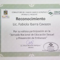 Ampliar imagen: certificate 19