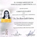 Ampliar imagen: certificate 2