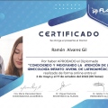 Ampliar imagen: certificate 15