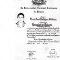 Ampliar imagen: certificate 4
