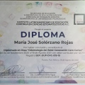 Ampliar imagen: certificate 1
