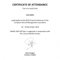 Ampliar imagen: certificate 4