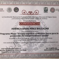 Ampliar imagen: certificate 12
