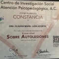 Ampliar imagen: certificate 23