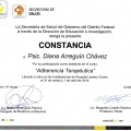 Ampliar imagen: certificate 11