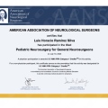 Ampliar imagen: certificate 5