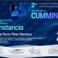 Ampliar imagen: certificate 11