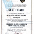 Ampliar imagen: certificate 28