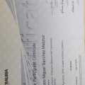 Ampliar imagen: certificate 4