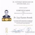 Ampliar imagen: certificate 3